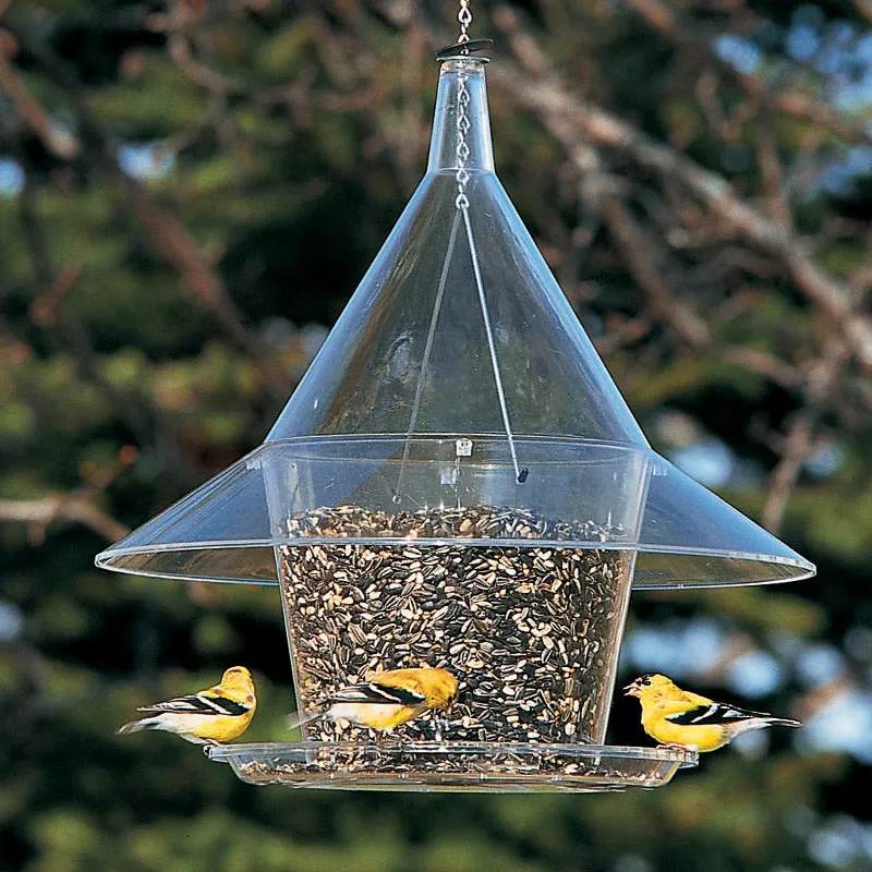 Arundale Sky Cafe Feeder