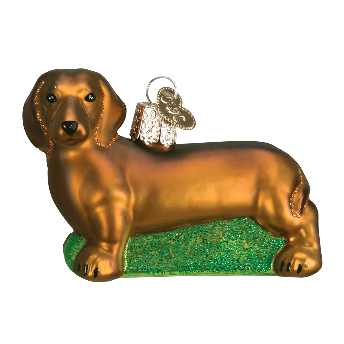 Dachshund