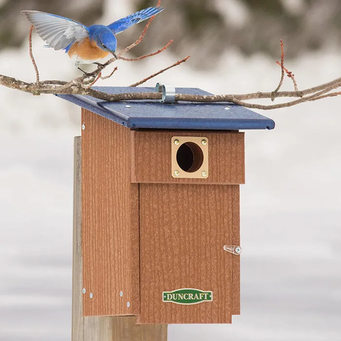 Duncraft Bluebird Observation Landing House