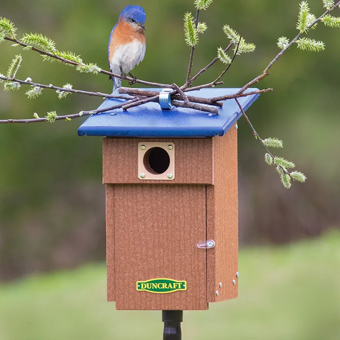 Duncraft Bluebird Observation Landing House