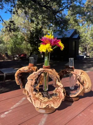 Handmade Wooden Bud Vases