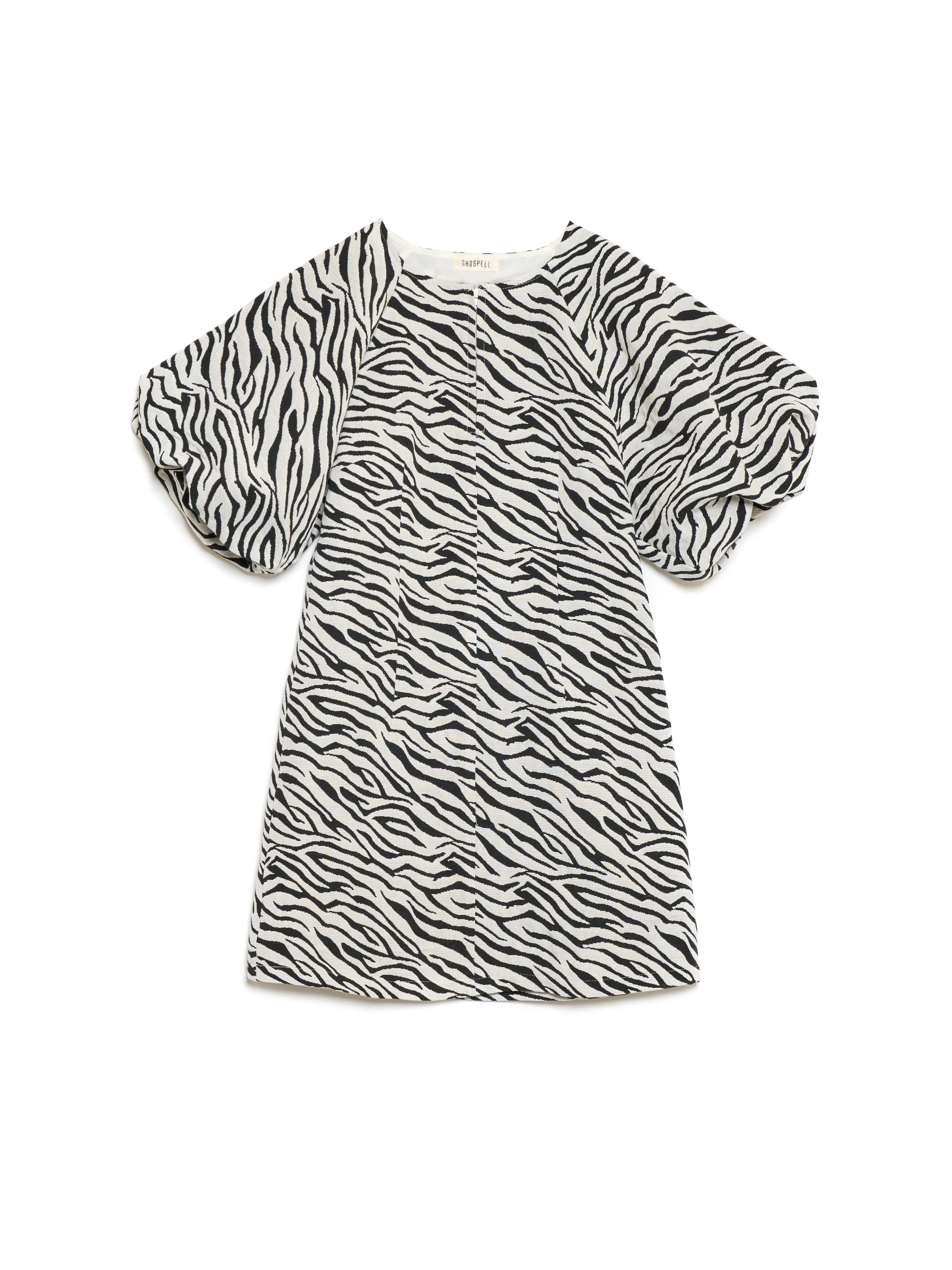 Stevie Zebra Mini Dress